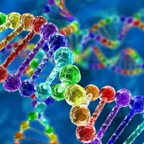 دپارتمان ژنومیکس