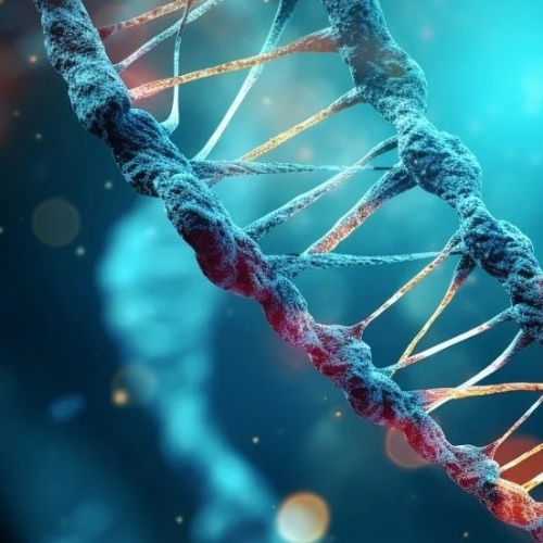 دپارتمان ژنتیک مولکولی