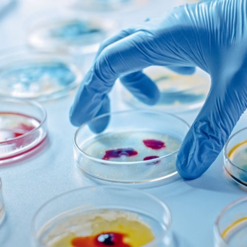 دپارتمان میکروبیولوژی 