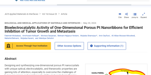 Bioelectrocatalytic Activity of One-Dimensional Porous Pt Nanoribbons for Efficient Inhibition of Tumor Growth and Metastasis