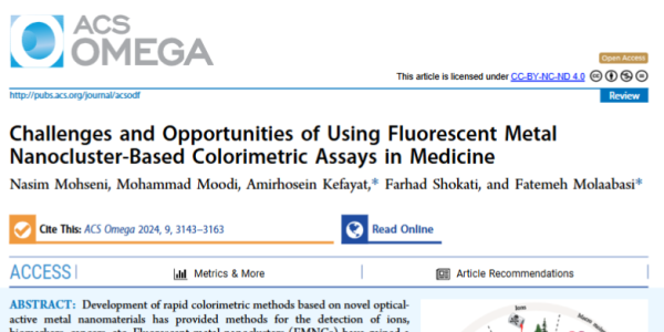 Challenges and Opportunities of Using Fluorescent Metal Nanocluster-Based Colorimetric Assays in Medicine