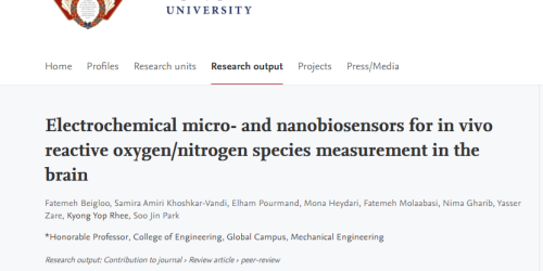 Electrochemical micro- and nanobiosensors for in vivo reactive oxygen/nitrogen species measurement in the brain