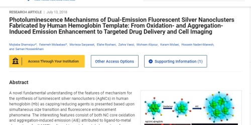 Photoluminescence Mechanisms of Dual-Emission Fluorescent Silver Nanoclusters Fabricated by Human Hemoglobin Template: from Oxidation- and Aggregation-Induced Emission Enhancement to Targeted Drug Delivery and Cell Imaging