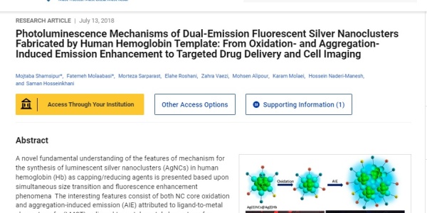 Photoluminescence Mechanisms of Dual-Emission Fluorescent Silver Nanoclusters Fabricated by Human Hemoglobin Template: from Oxidation- and Aggregation-Induced Emission Enhancement to Targeted Drug Delivery and Cell Imaging