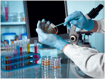 خدمات میکروبیولوژی