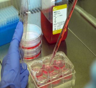 خدمات سلولی و مولکولی